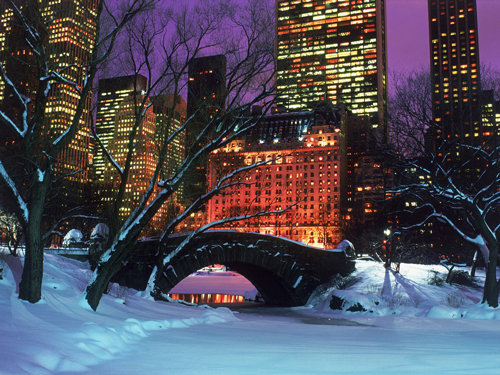 winter central park wallpaper. Central Park in Winter,